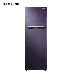 Samsung Two Door Top Freezer | RT25FARBDUT/TC