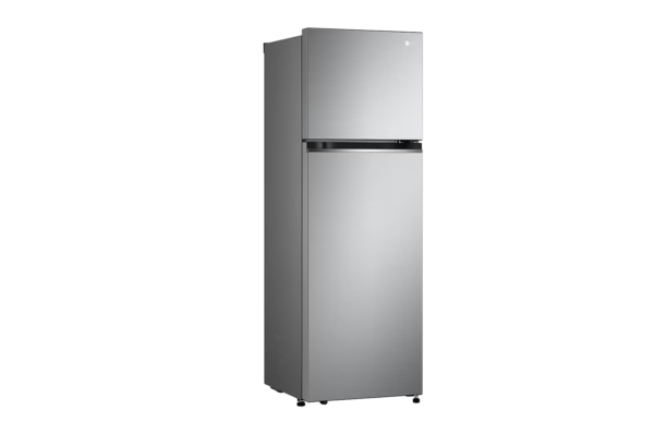 LG 10.1 Cu. Ft. Top Freezer Refrigerator in Platinum Silver