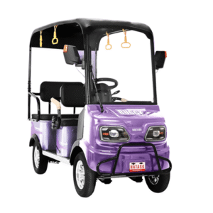HATASU BUGGY