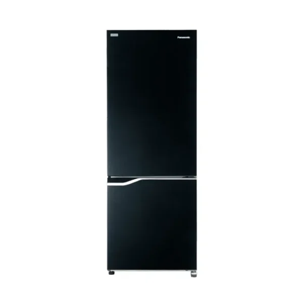 Panasonic 10.2 cu ft 2-door Bottom Freezer Refrigerator