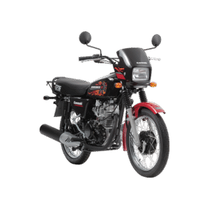 Kawasaki Barako II BC175