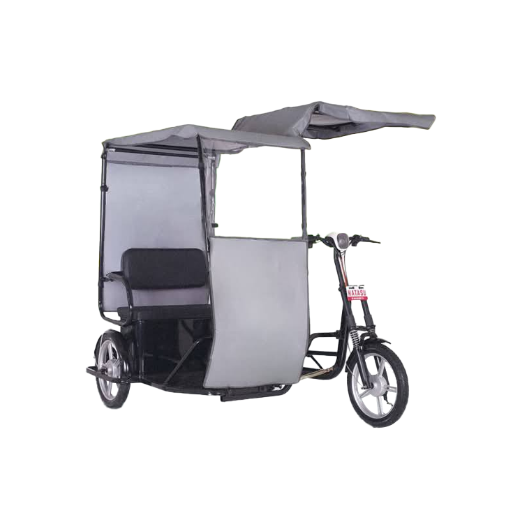 trike with roof