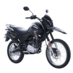 BLACK 31