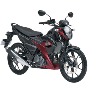 Suzuki Raider PRO